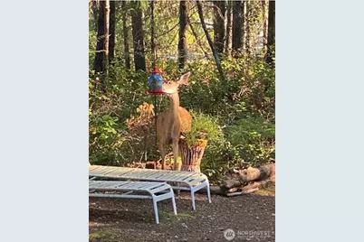 611 N Rainbow Way, Hoodsport, WA 98548 - Photo 38