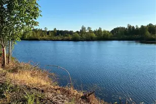 243 -12 Collins Rd, Toledo, WA 98591 - Photo 1