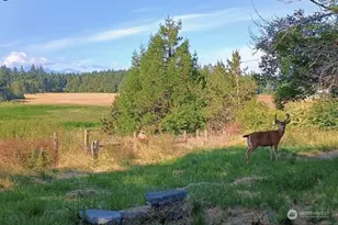 3295 Hastings Ave, Port Townsend, WA 98368 - Photo 20