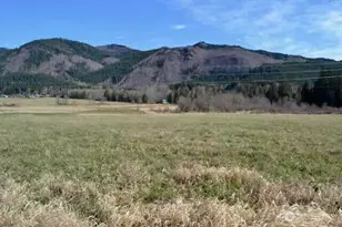 0 US Hwy 12, Morton, WA 98356 - Photo 1