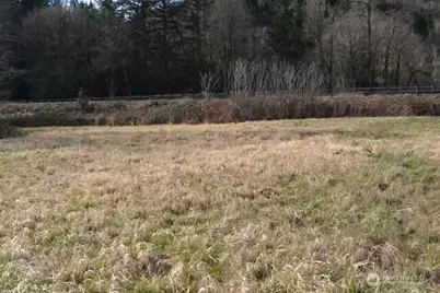 0 US Hwy. 12, Morton, WA 98356 - Photo 2