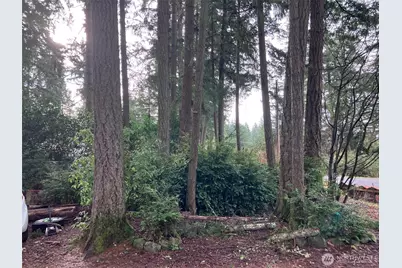 13115 140th Avenue NW, Gig Harbor, WA 98329 - Photo 4