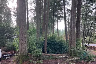 13115 140th Ave NW, Gig Harbor, WA 98329 - Photo 4