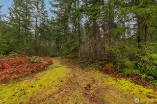 31444 172nd Ave SE, Auburn, WA 98092 - Photo 32