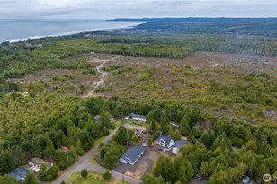 33 Butterfly Ln, Pacific Beach, WA 98571 - Photo 36