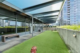 1808 Minor Ave, Seattle, WA 98101 - Photo 30