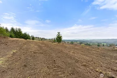 177 Starlight Drive, Onalaska, WA 98533 - Photo 10