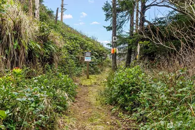 14 Chauncey Lane W, Pacific Beach, WA 98571 - Photo 30