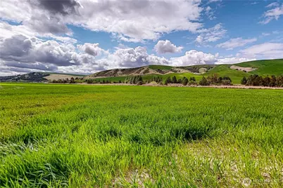 633 Lower Hogeye Road, Waitsburg, WA 99361 - Photo 34