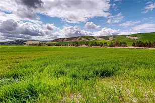 633 Lower Hogeye Rd, Waitsburg, WA 99361 - Photo 34