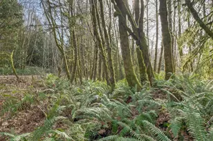 0 W Belfair Valley Rd, Bremerton, WA 98312 - Photo 1