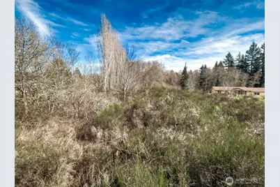 0 W Belfair Valley Road, Bremerton, WA 98312 - Photo 12