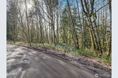 0 W Belfair Valley Road, Bremerton, WA 98312 - Photo 6