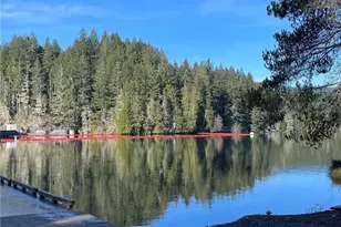 81 N Duckabush Dr E, Hoodsport, WA 98548 - Photo 26