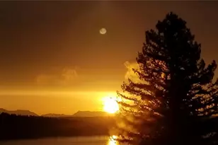 12725 42nd Ave NE, Seattle, WA 98125 - Photo 6