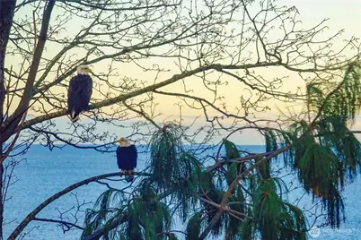 6955 Birch Bay Dr, Blaine, WA 98230 - Photo 32