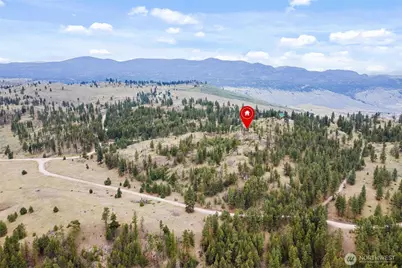 0 Lot 39 Homestead Spur Road, Oroville, WA 98844 - Photo 2