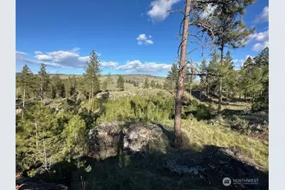 0 Lot 39 Homestead Spur Road, Oroville, WA 98844 - Photo 4