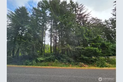 9325 123rd Avenue, Anderson Island, WA 98303 - Photo 2