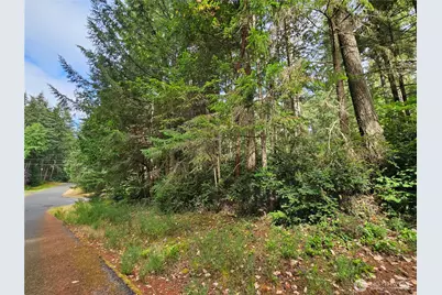 9325 123rd Avenue, Anderson Island, WA 98303 - Photo 4