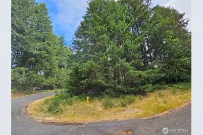9325 123rd Avenue, Anderson Island, WA 98303 - Photo 1