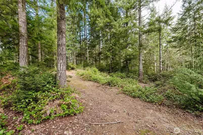 8625 Conwhit Lane SW, Port Orchard, WA 98367 - Photo 38