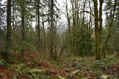 15327 May Creek Road, Gold Bar, WA 98251 - Photo 20