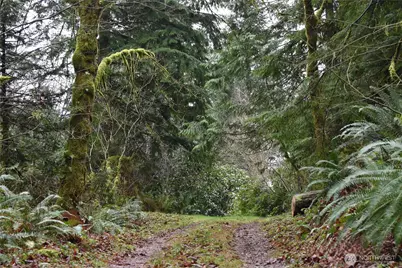 15327 May Creek Road, Gold Bar, WA 98251 - Photo 22