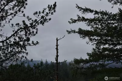 15327 May Creek Road, Gold Bar, WA 98251 - Photo 10