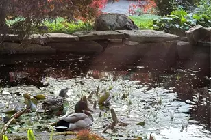 1939 49th St, Port Townsend, WA 98368 - Photo 32