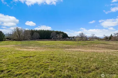 0 X Lilly Wheaton Road, Raymond, WA 98577 - Photo 1