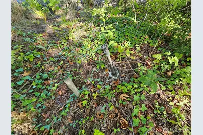 22550 NE Sr-3 Highway, Belfair, WA 98528 - Photo 12