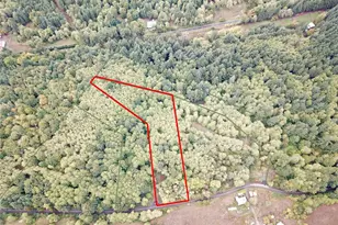 10943 Lundeen Rd SW, Rochester, WA 98579 - Photo 1