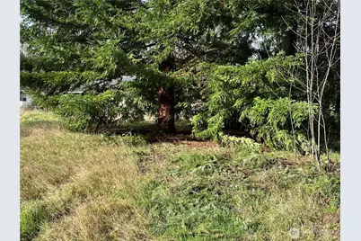 15827 Lawrence Place SE, Yelm, WA 98597 - Photo 4