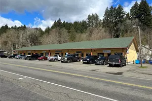 60 N Lake Cushman Rd, Hoodsport, WA 98320 - Photo 1