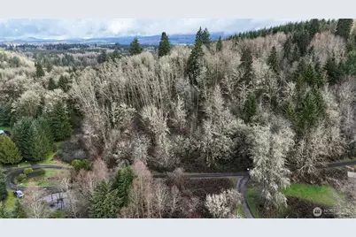 0 Ciannigan Hill, Mossyrock, WA 98564 - Photo 4