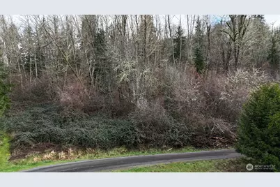 0 Ciannigan Hill, Mossyrock, WA 98564 - Photo 2