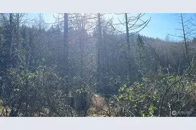 8146 Watkins Road, Sumas, WA 98295 - Photo 10