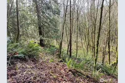 8146 Watkins Road, Sumas, WA 98295 - Photo 14