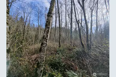 8146 Watkins Road, Sumas, WA 98295 - Photo 28
