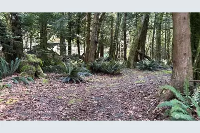 8146 Watkins Road, Sumas, WA 98295 - Photo 4