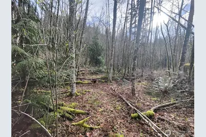 8146 Watkins Road, Sumas, WA 98295 - Photo 24