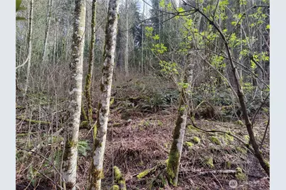 8146 Watkins Road, Sumas, WA 98295 - Photo 22