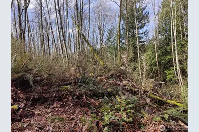 8146 Watkins Road, Sumas, WA 98295 - Photo 18