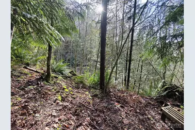 8146 Watkins Road, Sumas, WA 98295 - Photo 10