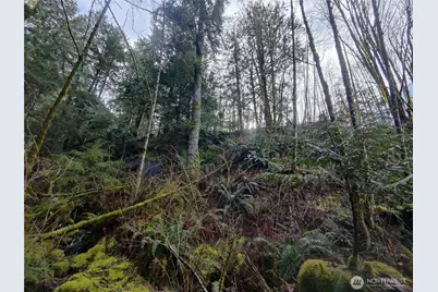 8146 Watkins Road, Sumas, WA 98295 - Photo 36