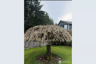 2927 27th Lane NE, Olympia, WA 98506 - Photo 26