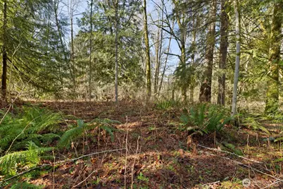 41971 Cedar Street, Concrete, WA 98237 - Photo 32