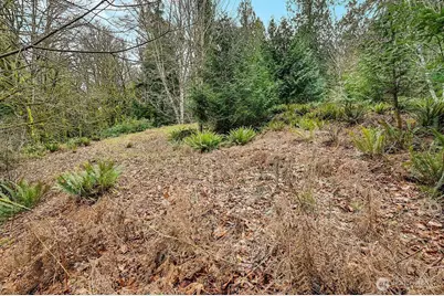 376 Beach Drive, Quilcene, WA 98376 - Photo 8