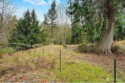 376 Beach Drive, Quilcene, WA 98376 - Photo 24